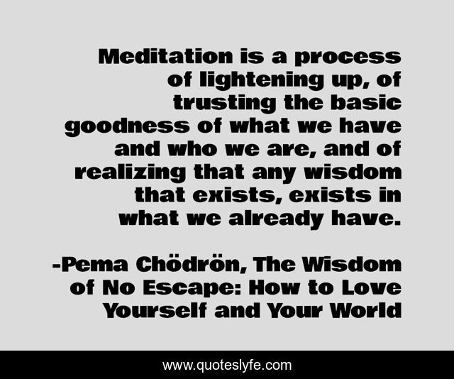 Meditation is a process of lightening up, of trusting the basic goodness of what we have and who we are, and of realizing that any wisdom that exists, exists in what we already have.