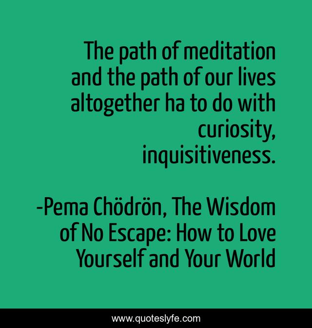 The path of meditation and the path of our lives altogether ha to do with curiosity, inquisitiveness.
