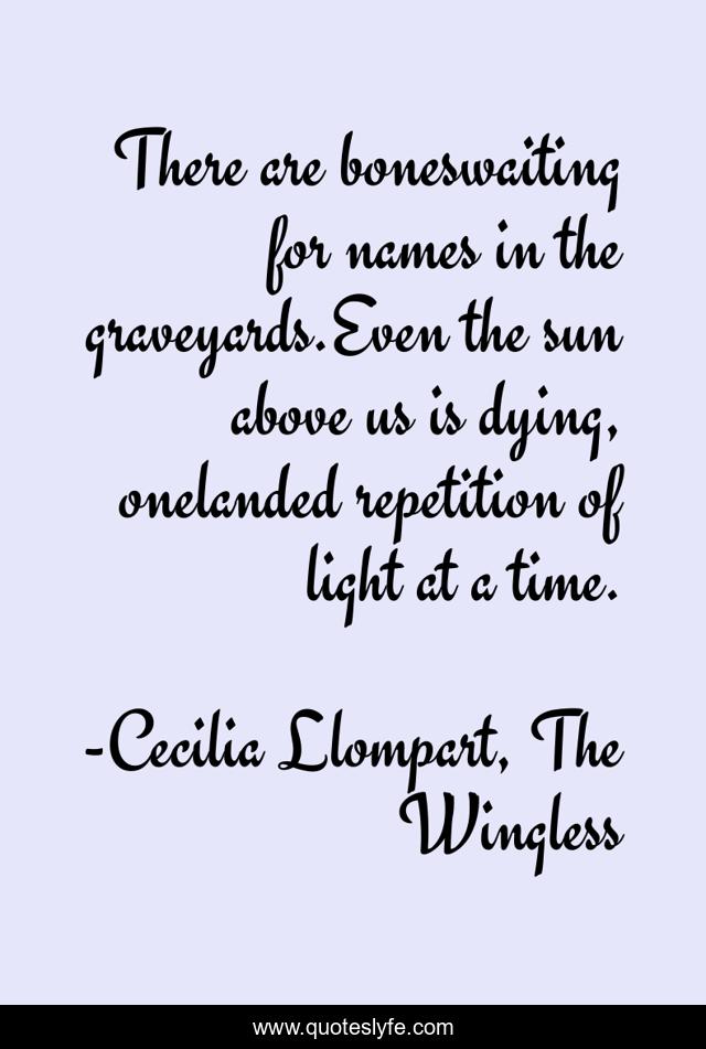There are boneswaiting for names in the graveyards.Even the sun above us is dying, onelanded repetition of light at a time.