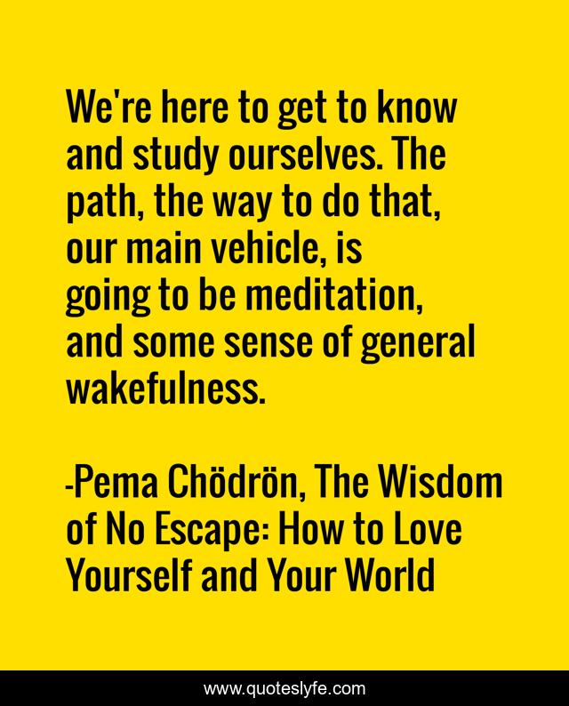 We're here to get to know and study ourselves. The path, the way to do that, our main vehicle, is going to be meditation, and some sense of general wakefulness.