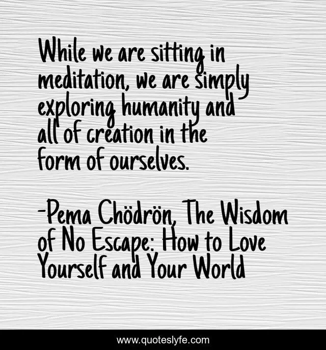 While we are sitting in meditation, we are simply exploring humanity and all of creation in the form of ourselves.