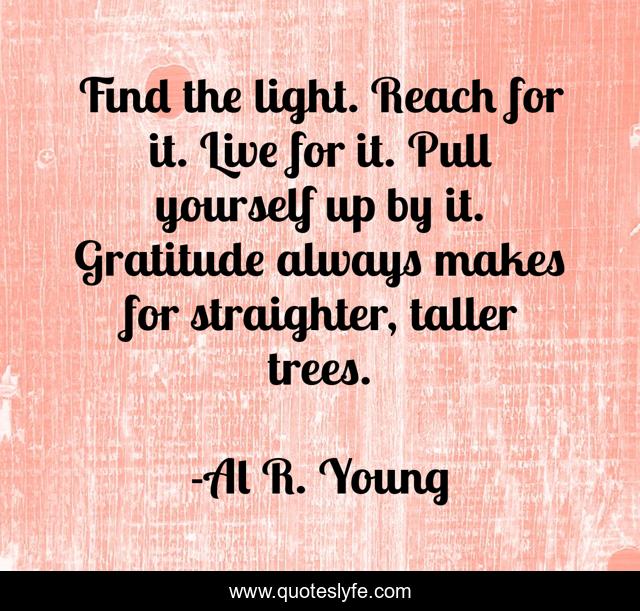Find the light. Reach for it. Live for it. Pull yourself up by it. Gratitude always makes for straighter, taller trees.