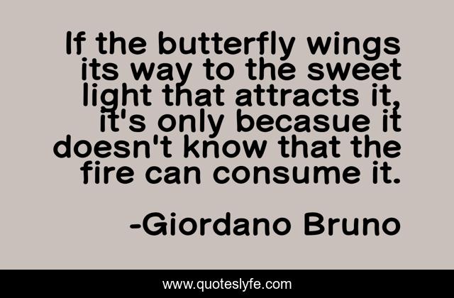 If the butterfly wings its way to the sweet light that attracts it, it's only becasue it doesn't know that the fire can consume it.