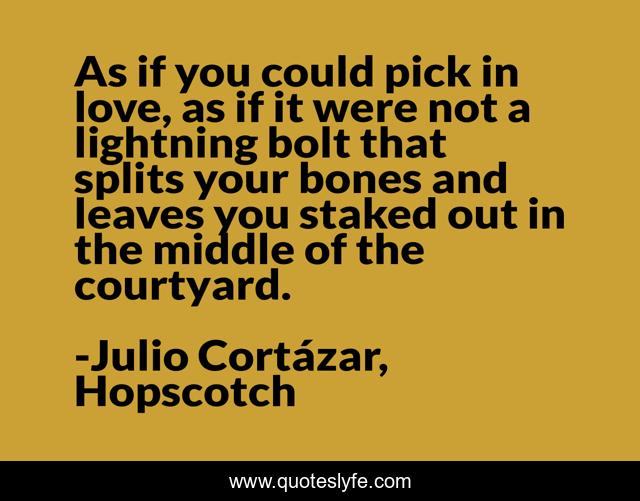 As if you could pick in love, as if it were not a lightning bolt that splits your bones and leaves you staked out in the middle of the courtyard.