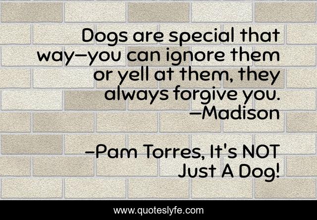 Dogs are special that way—you can ignore them or yell at them, they always forgive you. —Madison