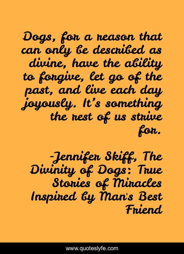 Dogs, for a reason that can only be described as divine, have the ability to forgive, let go of the past, and live each day joyously. It’s something the rest of us strive for.