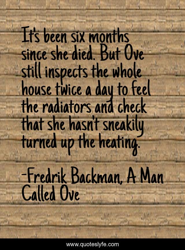 It's been six months since she died. But Ove still inspects the whole house twice a day to feel the radiators and check that she hasn't sneakily turned up the heating.