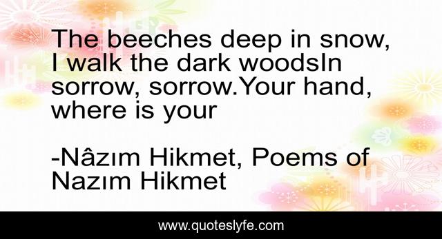 The beeches deep in snow, I walk the dark woodsIn sorrow, sorrow.Your hand, where is your