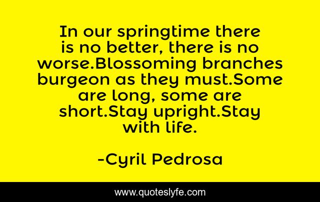 In our springtime there is no better, there is no worse.Blossoming branches burgeon as they must.Some are long, some are short.Stay upright.Stay with life.