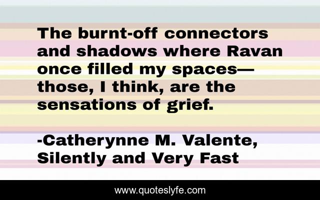 The burnt-off connectors and shadows where Ravan once filled my spaces— those, I think, are the sensations of grief.