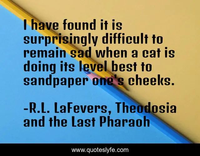 I have found it is surprisingly difficult to remain sad when a cat is doing its level best to sandpaper one's cheeks.