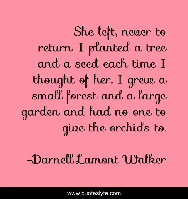 She left, never to return. I planted a tree and a seed each time I thought of her. I grew a small forest and a large garden and had no one to give the orchids to.