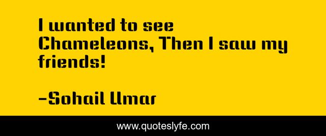 I wanted to see Chameleons, Then I saw my friends!