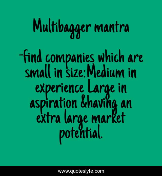 Multibagger mantra
