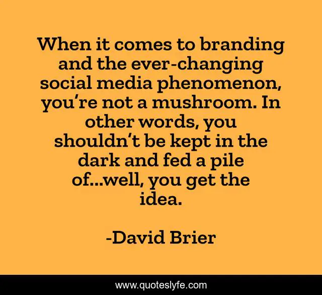 When it comes to branding and the ever-changing social media phenomenon, you’re not a mushroom. In other words, you shouldn’t be kept in the dark and fed a pile of...well, you get the idea.