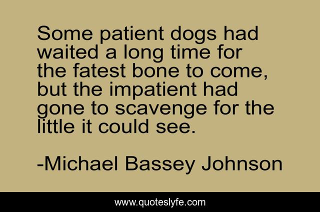 Some patient dogs had waited a long time for the fatest bone to come, but the impatient had gone to scavenge for the little it could see.