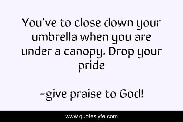 You've to close down your umbrella when you are under a canopy. Drop your pride