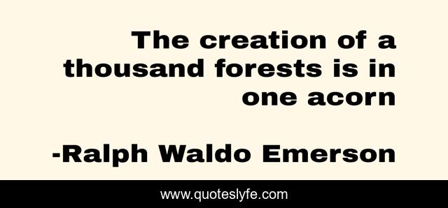 The creation of a thousand forests is in one acorn