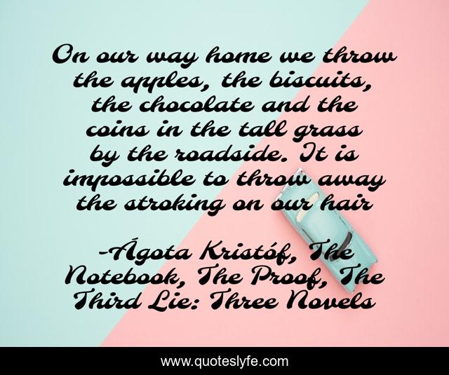 On our way home we throw the apples, the biscuits, the chocolate and the coins in the tall grass by the roadside. It is impossible to throw away the stroking on our hair