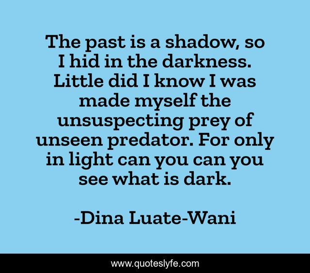 The past is a shadow, so I hid in the darkness. Little did I know I was made myself the unsuspecting prey of unseen predator. For only in light can you can you see what is dark.