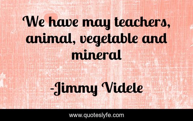 We have may teachers, animal, vegetable and mineral