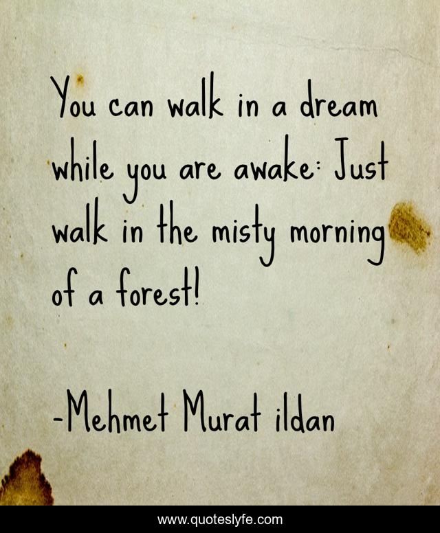 You can walk in a dream while you are awake: Just walk in the misty morning of a forest!