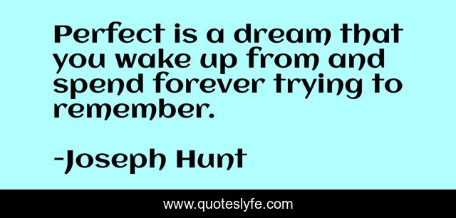 Perfect is a dream that you wake up from and spend forever trying to remember.