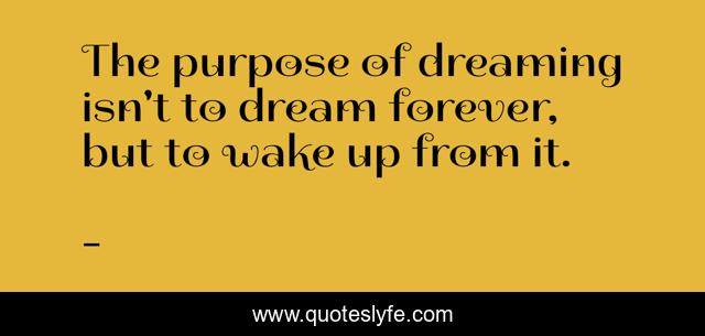 The purpose of dreaming isn't to dream forever, but to wake up from it.