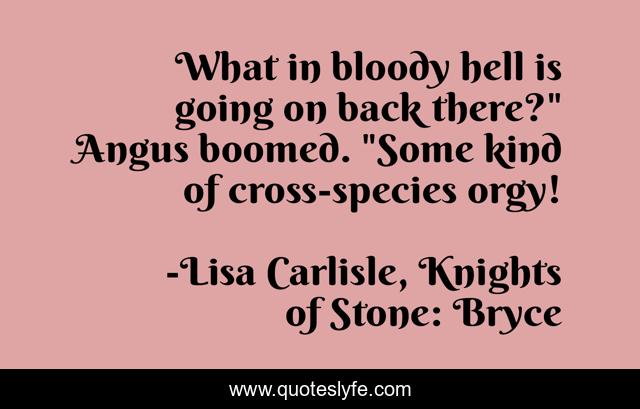 What in bloody hell is going on back there?