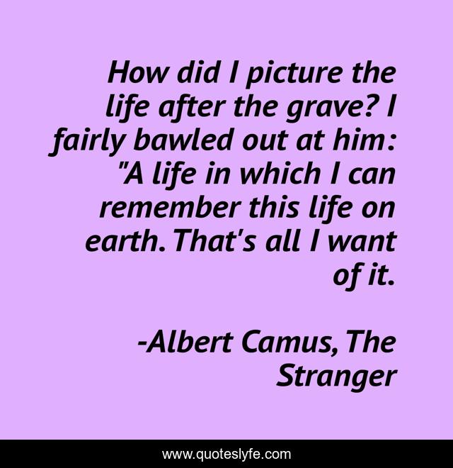 How did I picture the life after the grave? I fairly bawled out at him: 