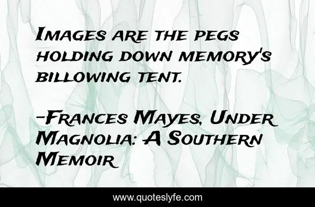 Images are the pegs holding down memory's billowing tent.