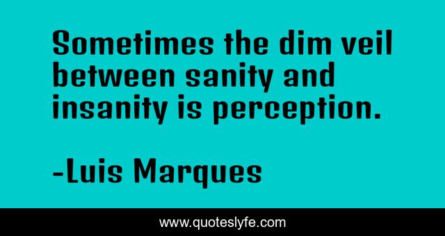 Sometimes the dim veil between sanity and insanity is perception.