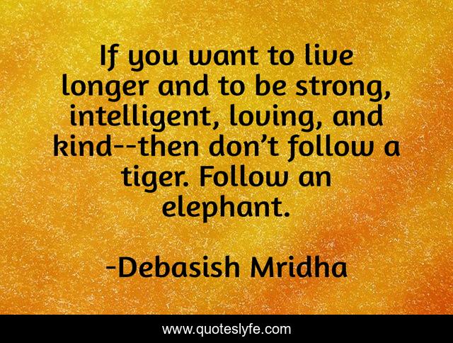 If you want to live longer and to be strong, intelligent, loving, and kind--then don’t follow a tiger. Follow an elephant.