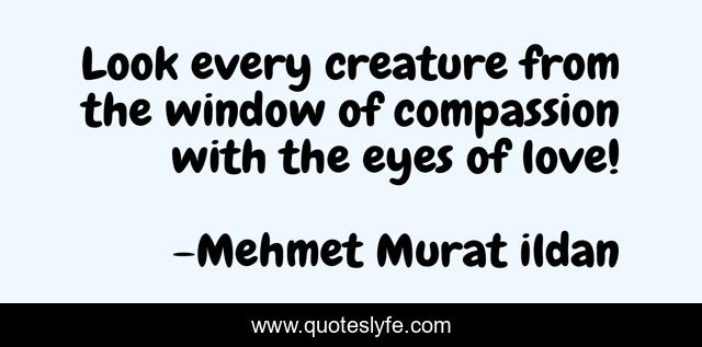 Look every creature from the window of compassion with the eyes of love!