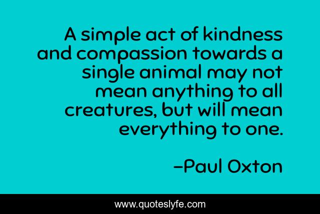 A simple act of kindness and compassion towards a single animal may not mean anything to all creatures, but will mean everything to one.