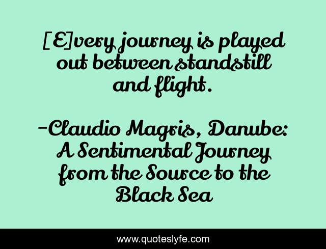 [E]very journey is played out between standstill and flight.