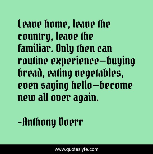 Leave home, leave the country, leave the familiar. Only then can routine experience—buying bread, eating vegetables, even saying hello—become new all over again.