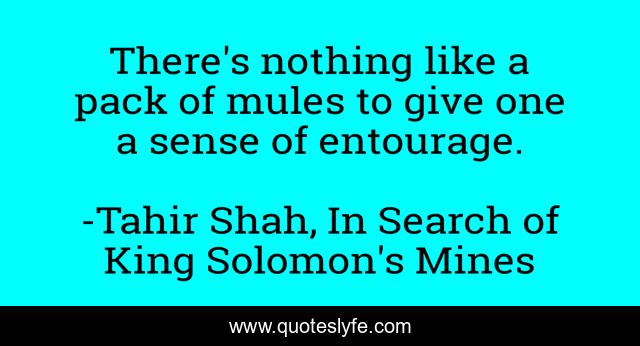 There's nothing like a pack of mules to give one a sense of entourage.