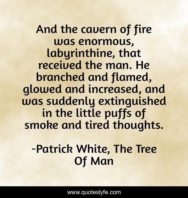 And the cavern of fire was enormous, labyrinthine, that received the man. He branched and flamed, glowed and increased, and was suddenly extinguished in the little puffs of smoke and tired thoughts.