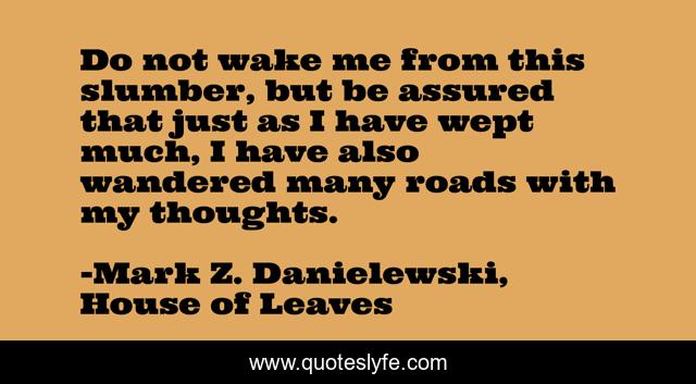 Do not wake me from this slumber, but be assured that just as I have wept much, I have also wandered many roads with my thoughts.