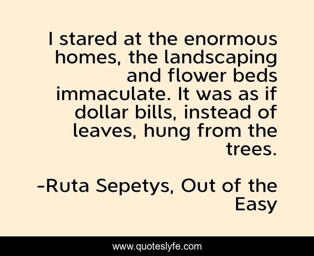 I stared at the enormous homes, the landscaping and flower beds immaculate. It was as if dollar bills, instead of leaves, hung from the trees.