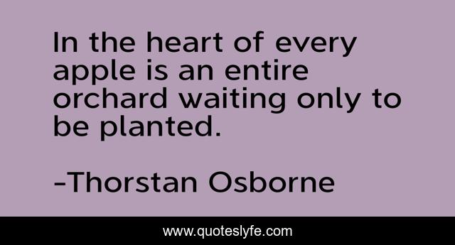 In the heart of every apple is an entire orchard waiting only to be planted.