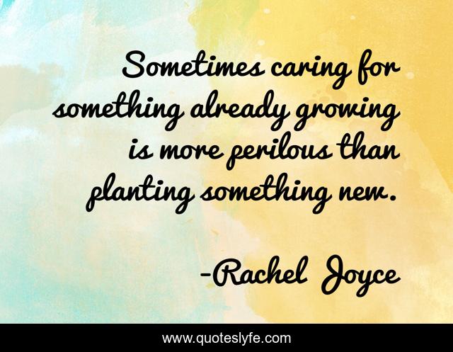 Sometimes caring for something already growing is more perilous than planting something new.