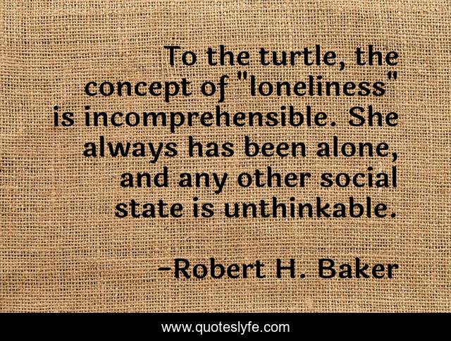 To the turtle, the concept of 