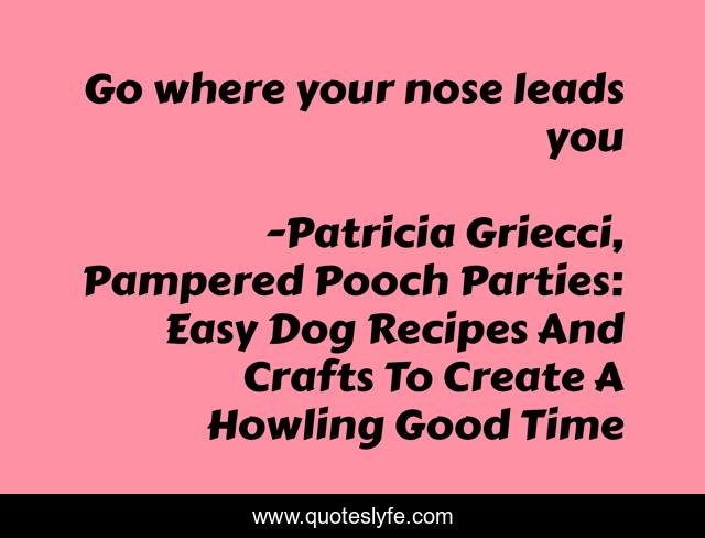 Go where your nose leads you