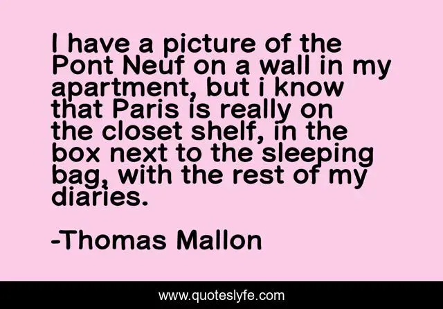 I have a picture of the Pont Neuf on a wall in my apartment, but i know that Paris is really on the closet shelf, in the box next to the sleeping bag, with the rest of my diaries.