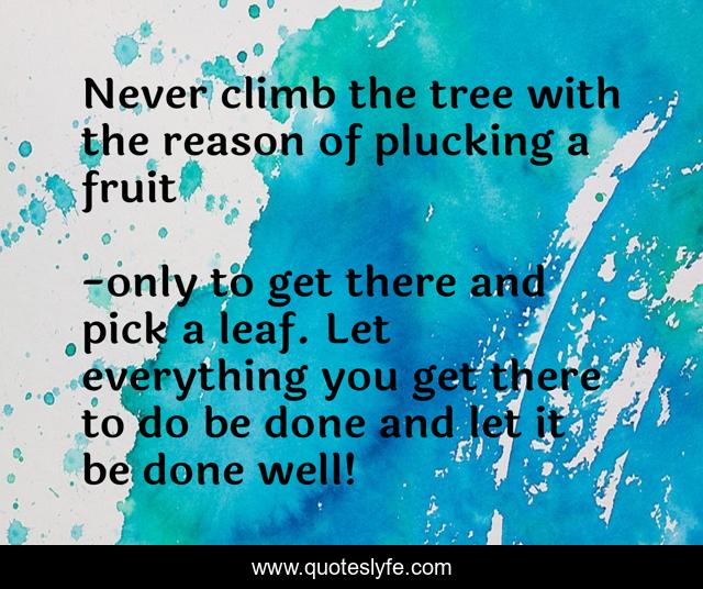 Never climb the tree with the reason of plucking a fruit