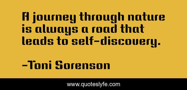 A journey through nature is always a road that leads to self-discovery.