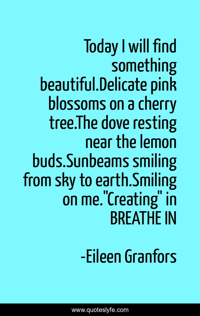 Today I will find something beautiful.Delicate pink blossoms on a cherry tree.The dove resting near the lemon buds.Sunbeams smiling from sky to earth.Smiling on me.