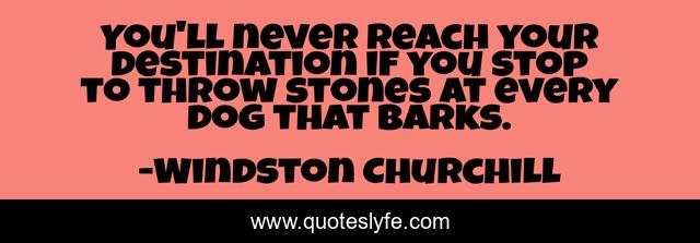 You'll never reach your destination if you stop to throw stones at every dog that barks.